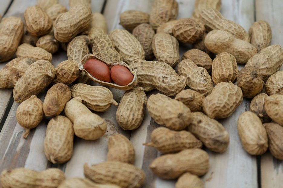 Do cats eat peanuts best sale