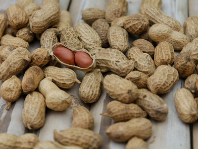 Associated image for Can cats eat peanuts? Let’s deshell the truth