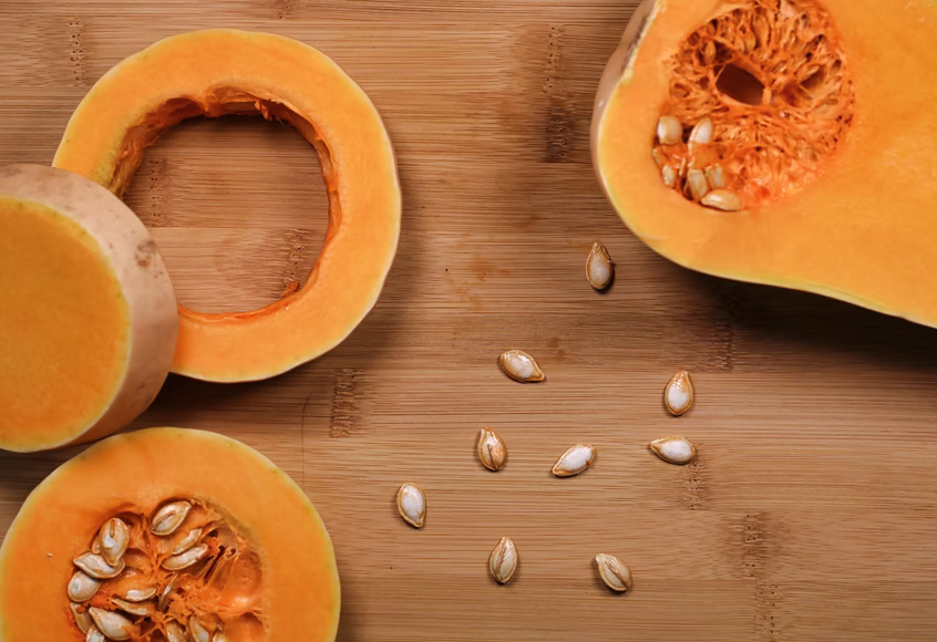 Are pumpkin seeds top poisonous to cats