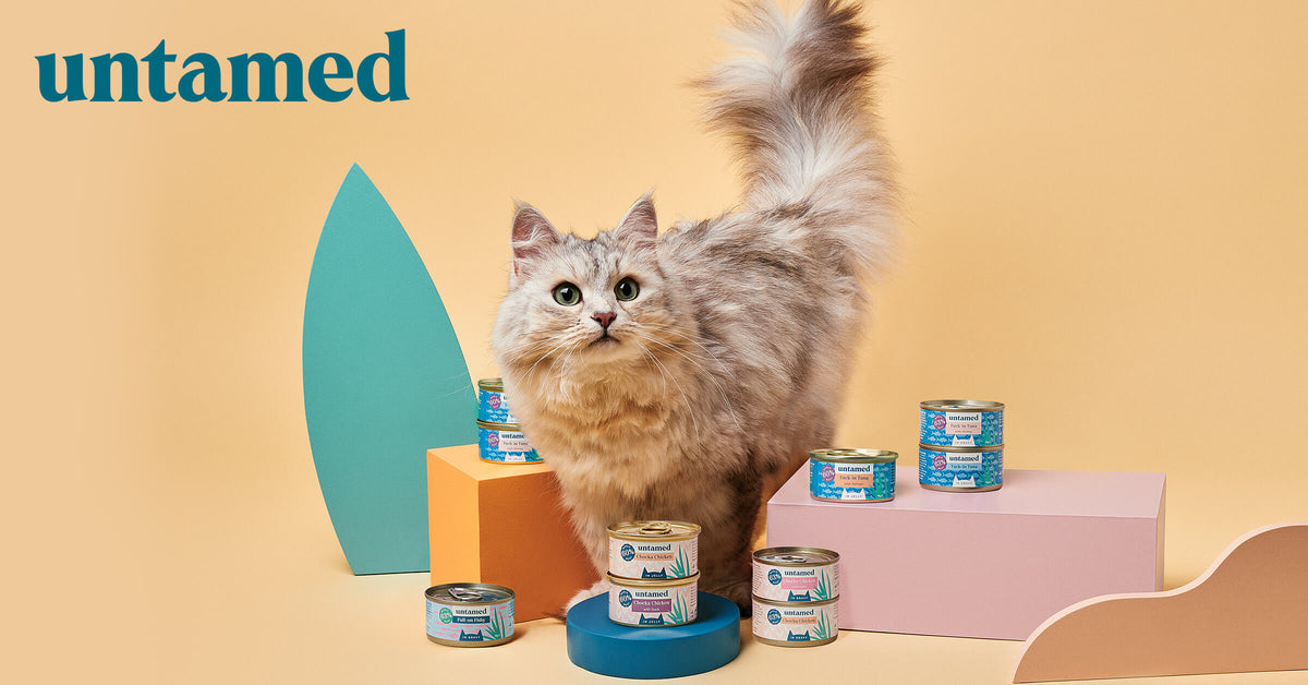 How Much Is Untamed Cat Food Monthly How Much Is Untamed Cat Food Monthly