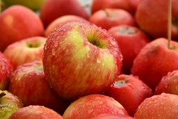 Can cats eat apples? Get a definitive answer!