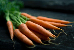 Can cats eat carrots? Find out in our thorough guide