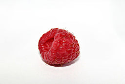 Can cats eat raspberries? Let’s find out
