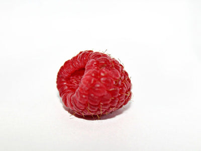 Associated image for Can cats eat raspberries? Let’s find out
