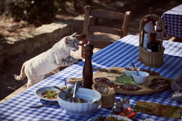 Get advice for your cat—natural diet vs. commercial food?