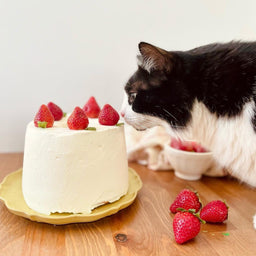 Cats and carbs—a dietary mismatch?