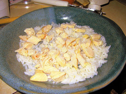 Are chicken and rice for cats with tummy issues a good idea?