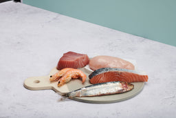 Is high-protein cat food a must for cats? [Explained]