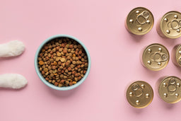 How much food should I feed my cat? [ESSENTIAL GUIDE]
