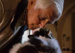 Hyperthyroidism in cats—diet, medication, and iodine therapy