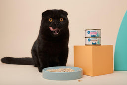 Wet cat food—an occasional feast or a complete meal?