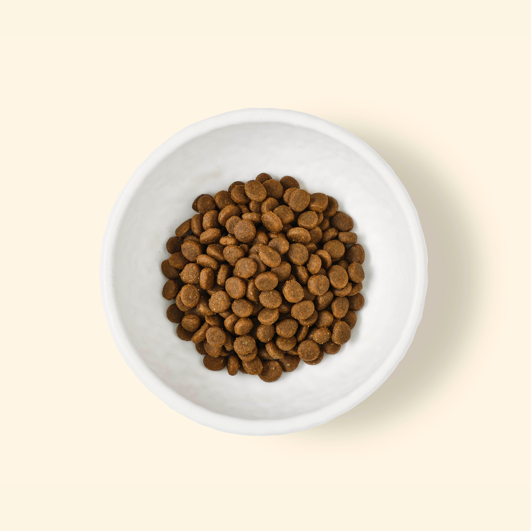 Fish Feast Coated Kibble