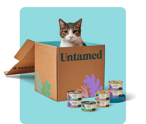 Supremely convenient