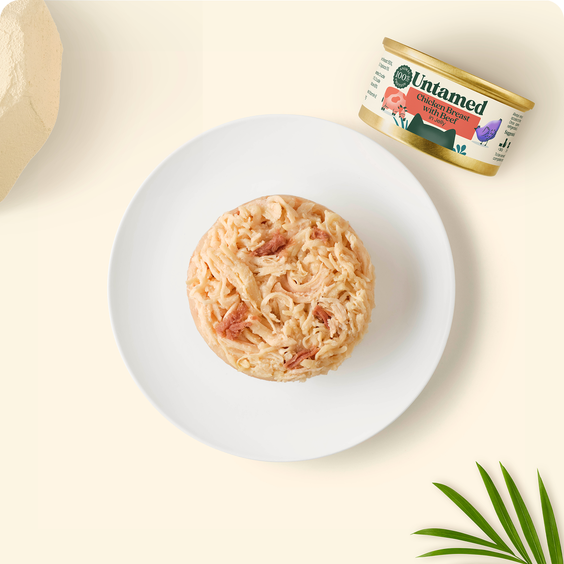 Chicken Breast with Beef