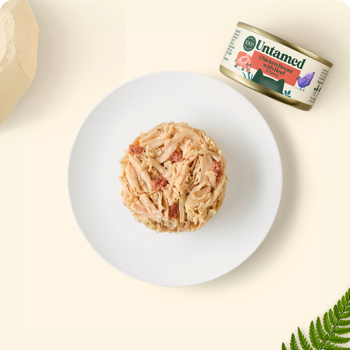 Chicken Breast with Beef