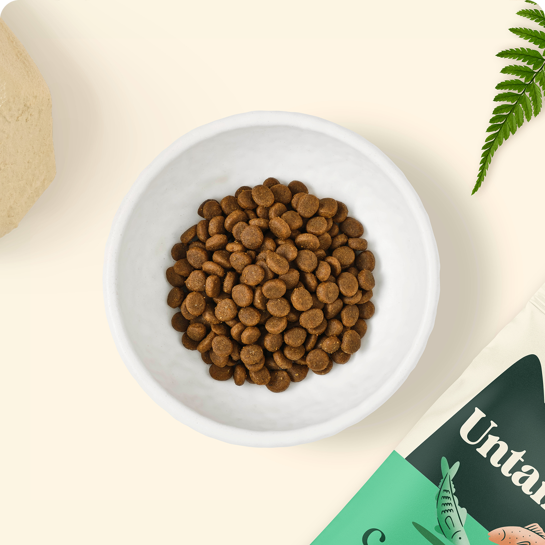 Fish Feast Coated Kibble
