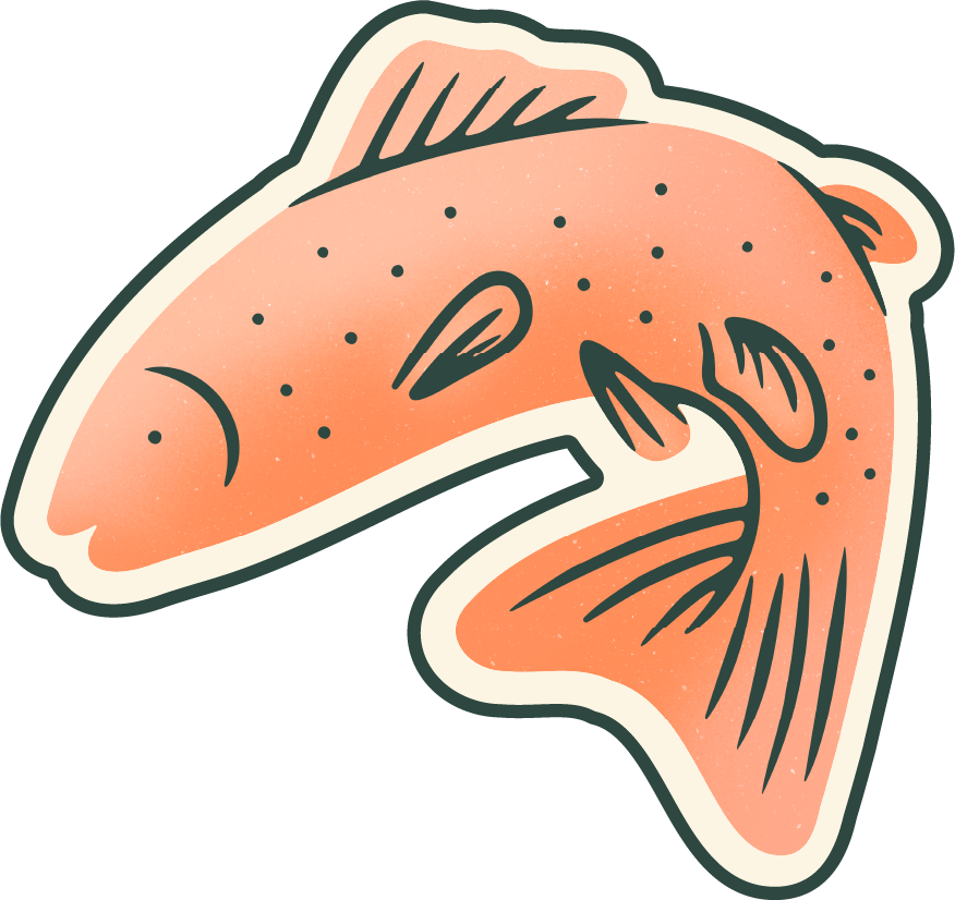  Salmon