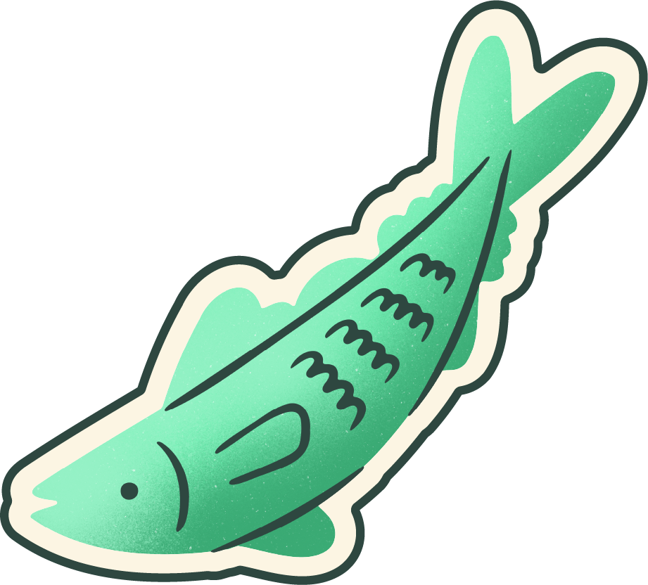 Sardine Mackarel