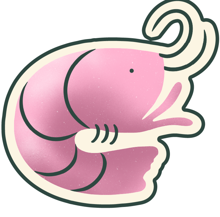 Shrimp