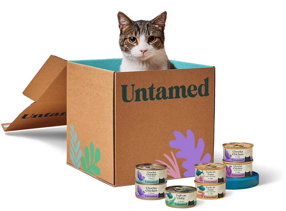 Food your cat will go wild for