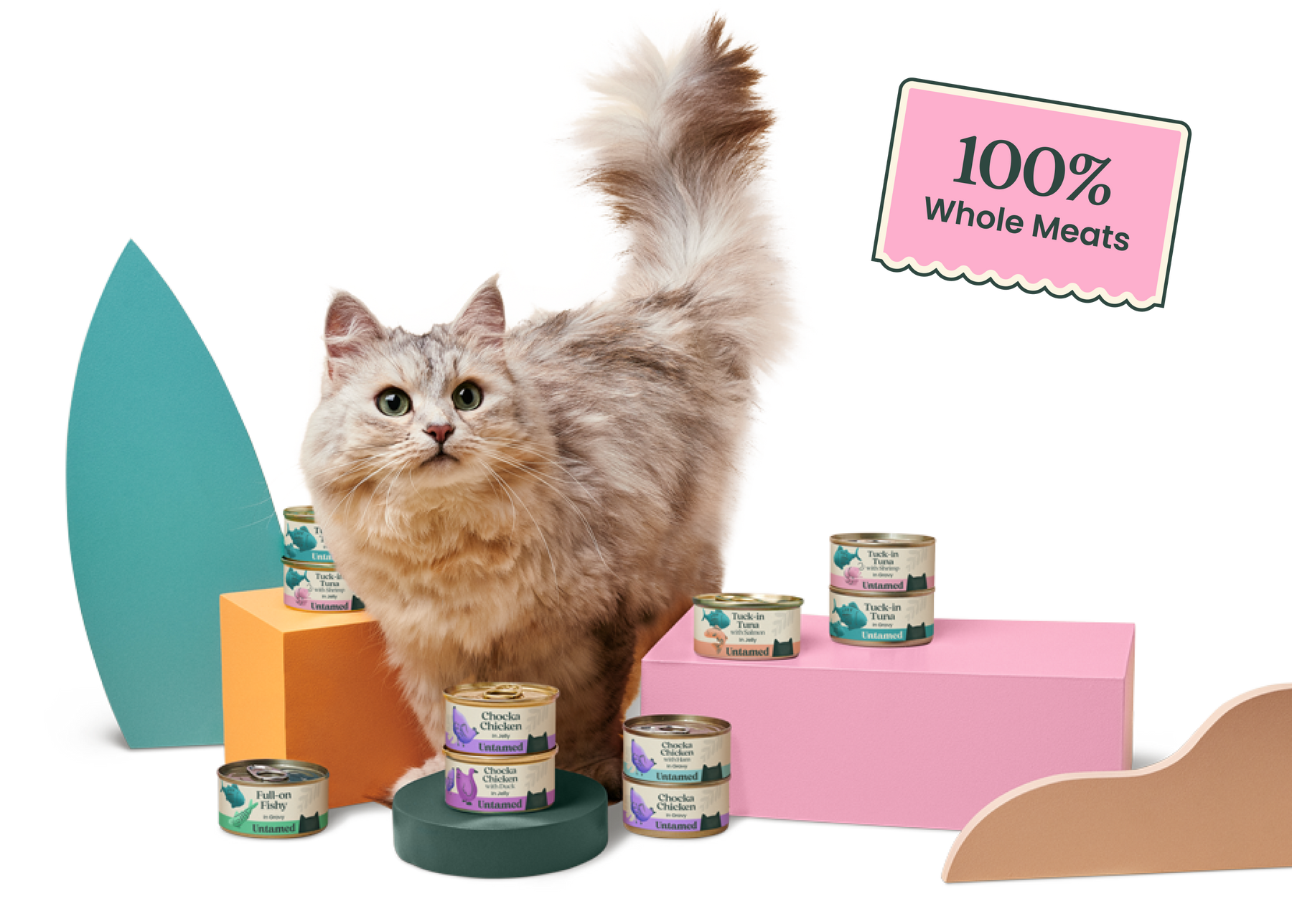 Turn mealtime into your cat's favourite time