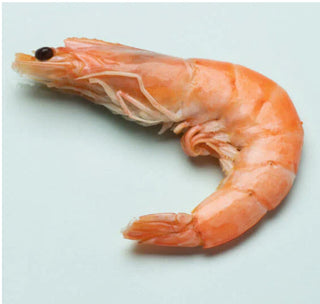 Shrimp