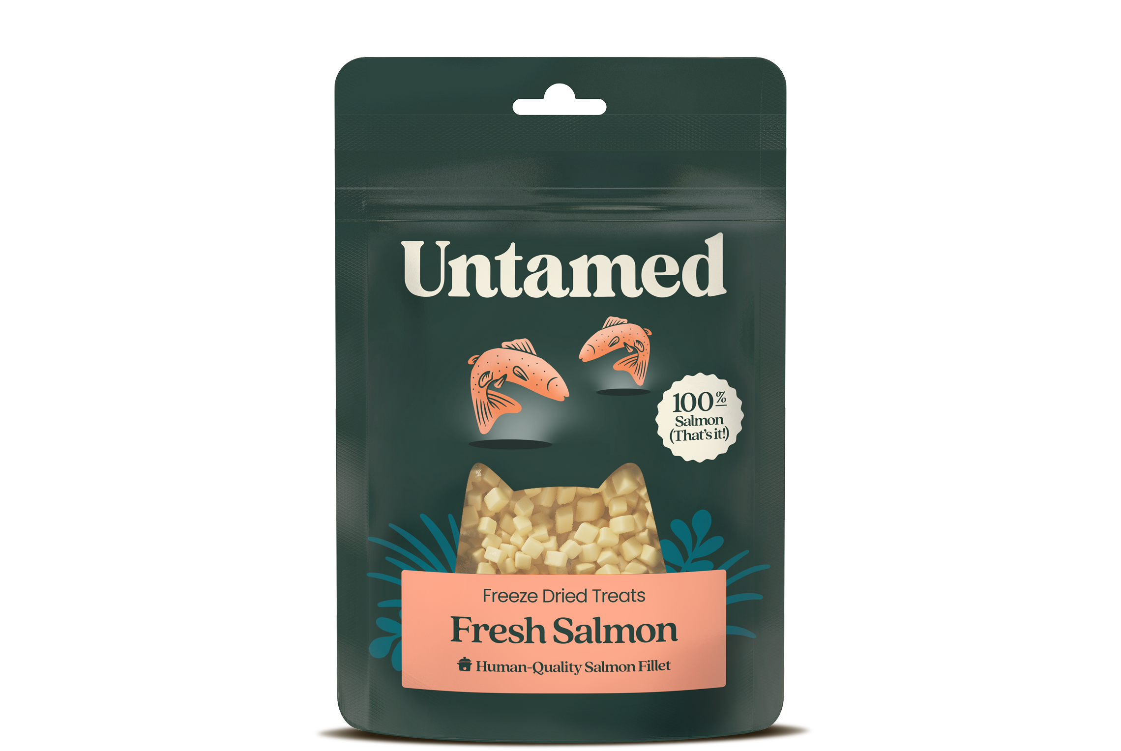 Salmon Treats