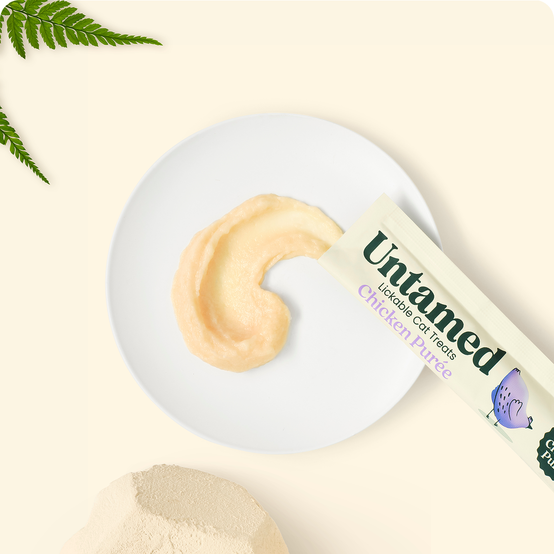 Chicken Purée