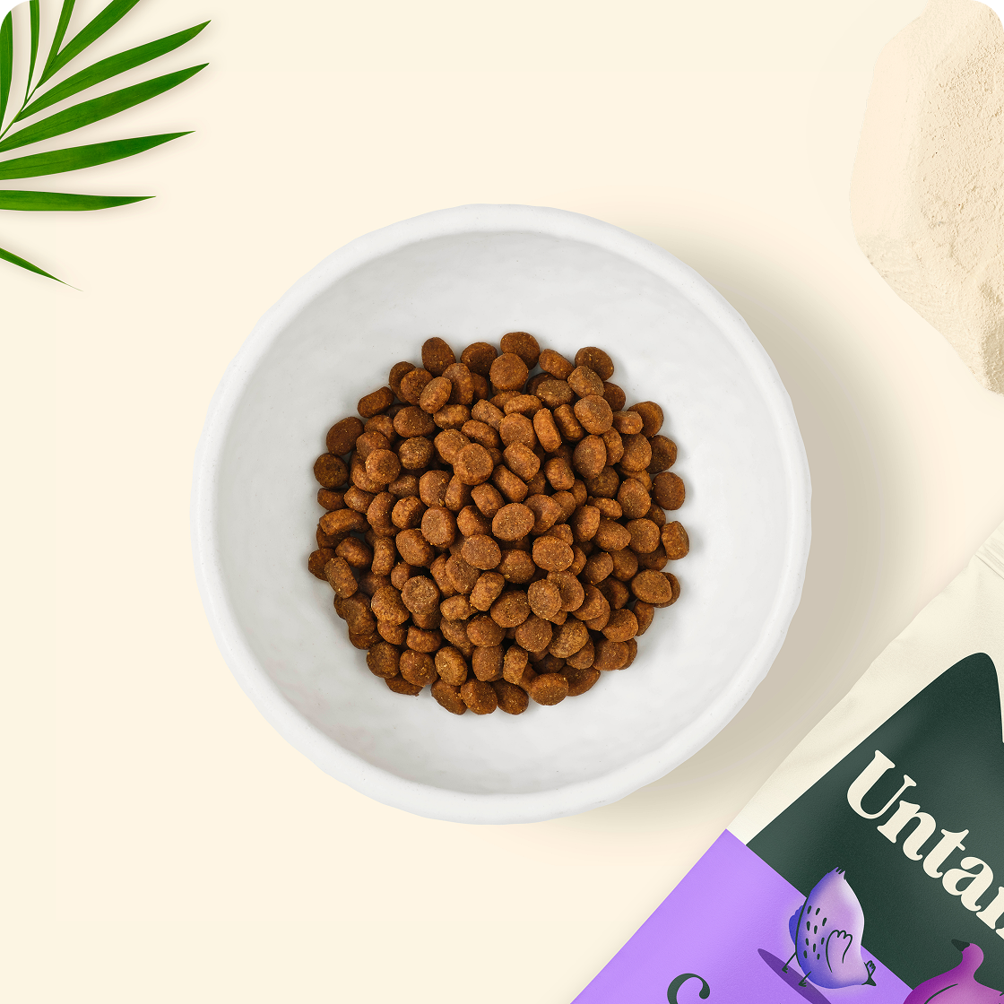 Poultry Packed Coated Kibble