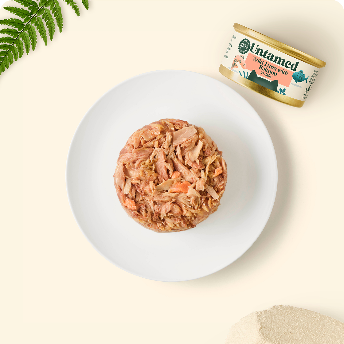 Wild Tuna with Salmon