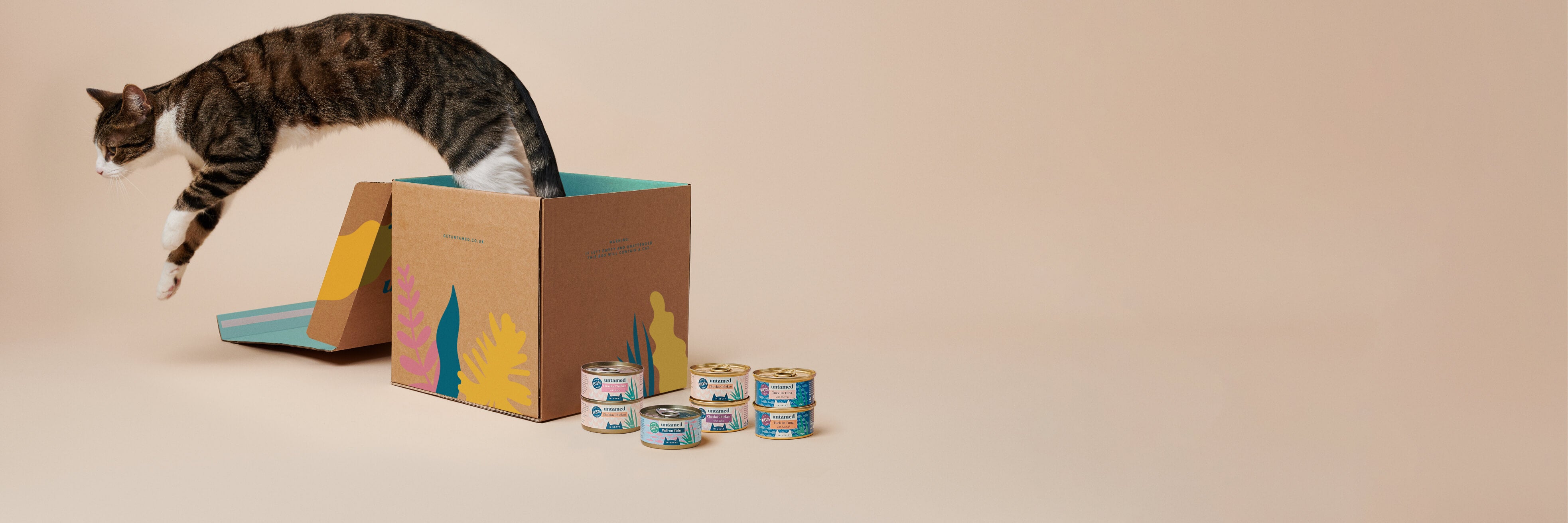 Untamed meal plan cat jumping out of a box