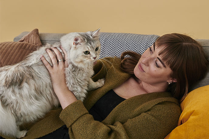 Untamed Cat Food Ingredients